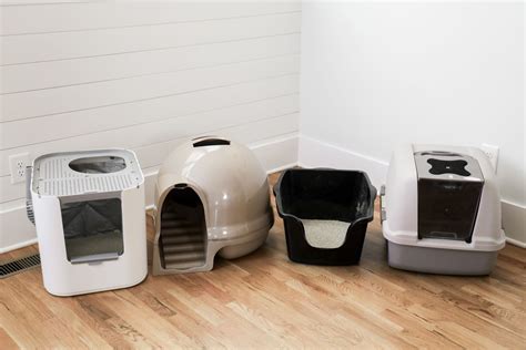 The 13 Best Cat Litter Boxes of 2024, Tested and Reviewed.